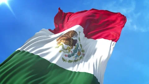 Mexico Flag Low Angle View Stock Footage 295744668