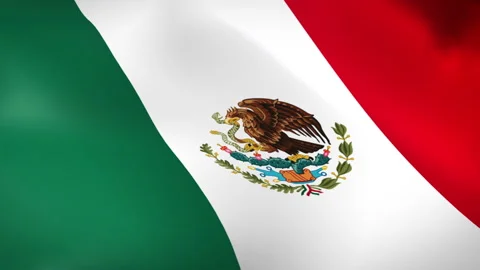 Mexico Flag - Pack 2 Stock Footage 339293744