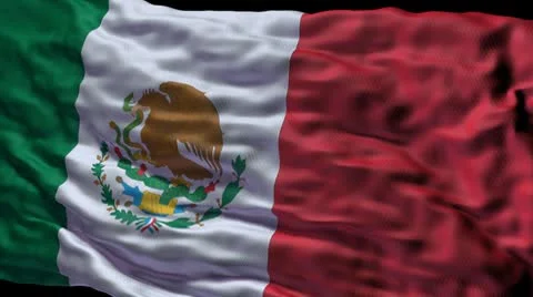 Mexico flag ripple Video stock 8849909