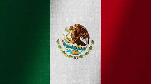 Mexico flag. Slow flutter of the canvas. Fluctuation of the fabric. Stock Footage 145172477