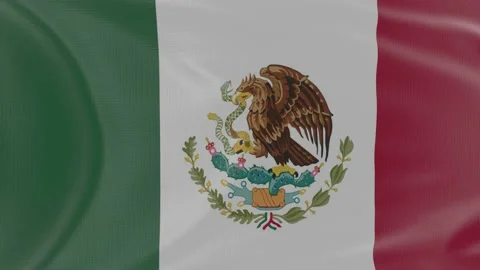 Mexico flag in slow motion animation waving in the wind realistic Stock Footage 142996862