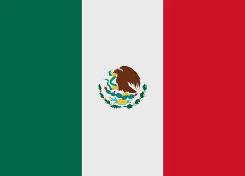 Mexico flag vector イラスト素材