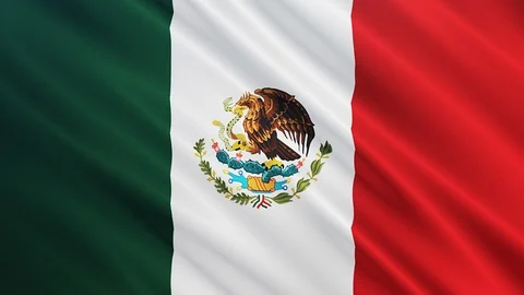 Mexico flag is waving 3D animation.  Stock Footage 100309268