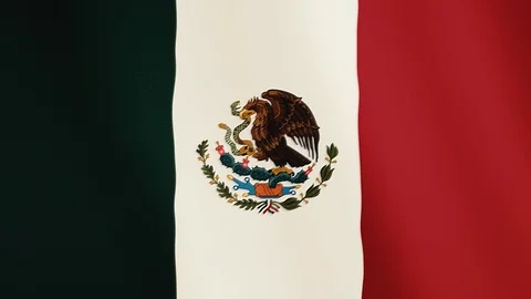 Mexico flag waving animation. Full Screen. Symbol of the country. Stock Footage 89561805