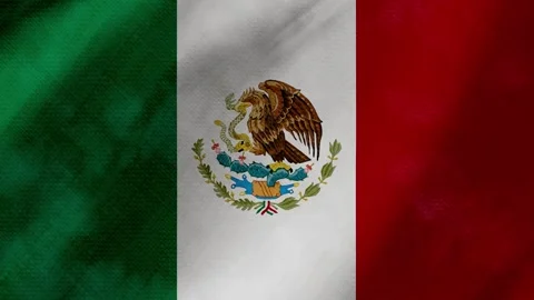 Mexico flag waving background with real fabric texture Stockbeeldmateriaal 291917172