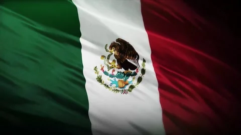 Mexico Flag Waving with Eagle Emblem Detail, Green White Red Fabric Texture Видео 333320501