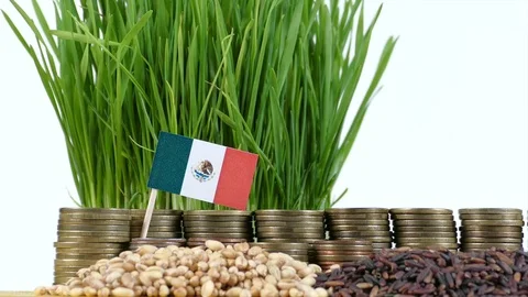 Mexico flag waving with stack of money coins and piles of wheat and rice seeds Stock Footage 71987648
