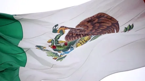 Mexico Flag Waving in the Wind with Eagle and Snake Emblem, National Symbol of Stock Footage 344060710