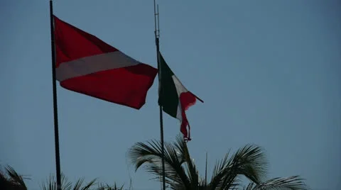 Mexico flag in wind Vídeo Stock 22820298