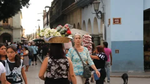 Mexico 스톡 동영상 10749333