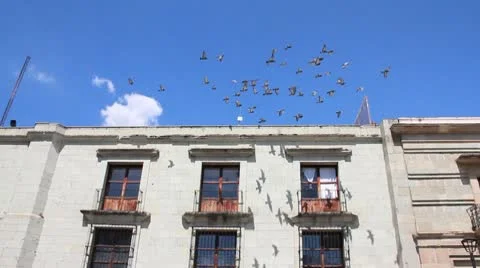 Mexico Video stock 10764065