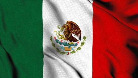 Mexico national flag with eagle and snake emblem Stock Footage 314612153