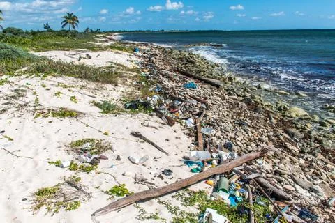 Mexico ocean Pollution Problem plastic litter 5 Stock Photos