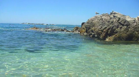 Mexico Reef Stock Footage 725504