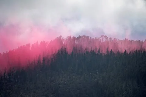 Mexico reports 77 active fires that affect almost 25,000 hectares, Arteaga - 29  Stock Photos