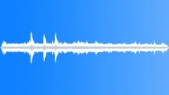 MEXICO, RESIDENTIAL Sound Effect
