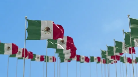 Mexico Row Of Flags Animation Stock-Footage 148749492