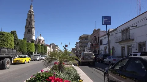 Mexico San Julian traffic with flowers in meridian time lapse Stock Footage