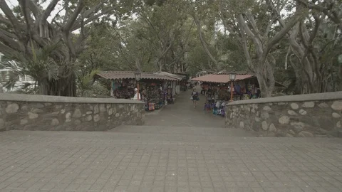 Mexico Shopping District Stock Footage 128848040