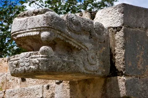 Mexico snake Stock Photos