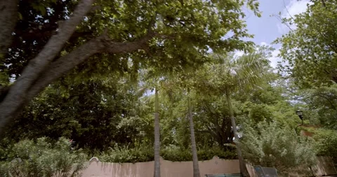 México streets, Mérida Yucatán. Stock Footage 138410186
