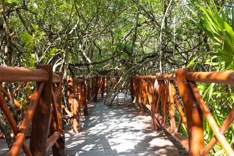 Mexico tourism destination, caves and pools of Cenote Casa Tortuga near Tulum Stock Photos
