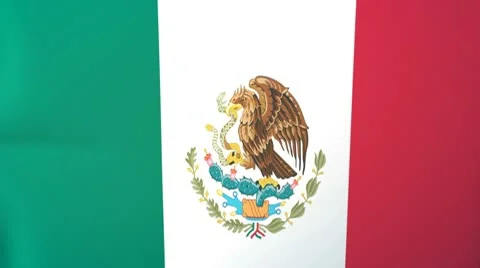 Mexico Waving Flag Stock Footage 10762188