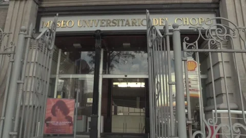 Mexico's first Trans Memory Archive celebrates LGBTI pride, México, MX - 01 Jul  Stock Footage 204151790