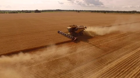Mey_Wheat_0010_C CC.mov Stock Footage 87813993