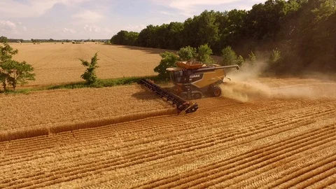 MEYHD_0004 A CC Stock Footage 87807585