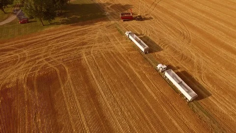 MEYHD_0018 A CC Stock Footage 87804046