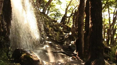 MF outdoor Walking012 Stock Footage 761617