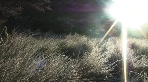 MF outdoor Walking021 Stock Footage 761434