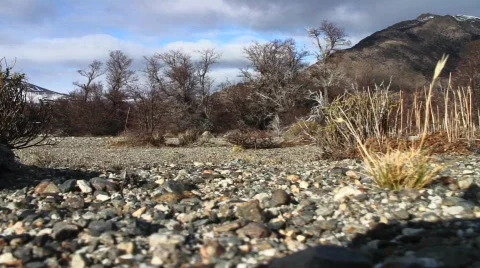 MF outdoor Walking028 Stock Footage 761308