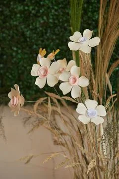 MG 0633 Stock Photos