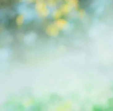 MG 1475 Stock Photos