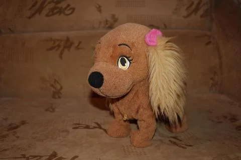  MG 2409 Stock Photos