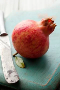 MG 3530 Stock Photos