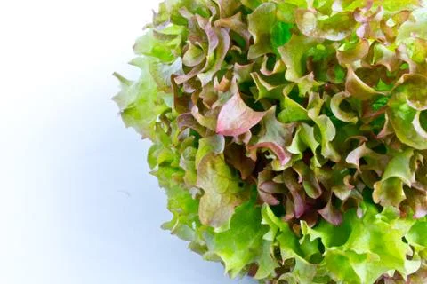  MG 6865 Stock Photos