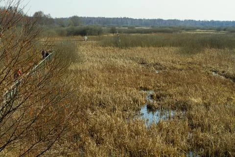 MG 7635 kopia Stock Photos