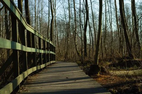 MG 7670 kopia Foto stock