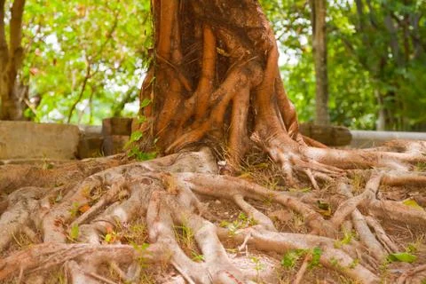  MG 8730 Stock Photos