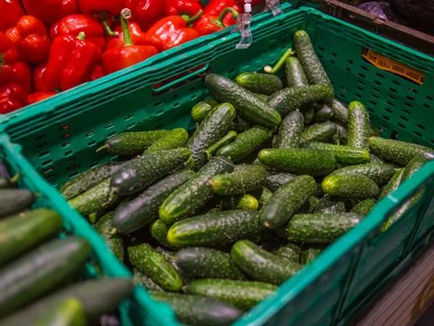 MG 9396 Stock Photos