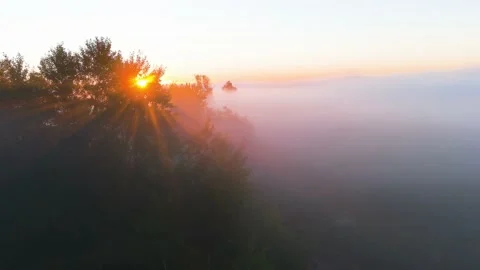 Mgła, drzewa, wschód słońca 스톡 동영상 211786465