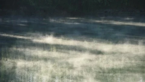 Mgla16 Stock Footage 315271835