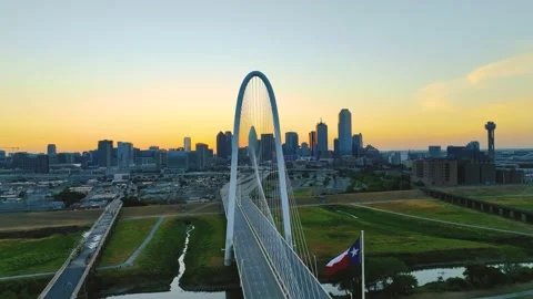 MHHClip 動画素材 205212584