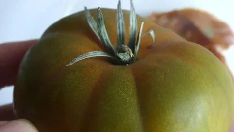 Mi peli?cula 2 Stock Footage 327790916