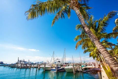 Miami 9889 Stock Photos