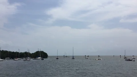 Miami Bay - Day Stock Footage 129054256