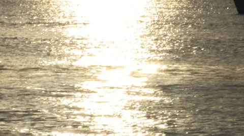 Miami Bay Sun Stock Footage 12390719